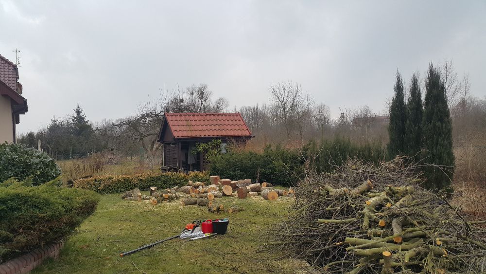 Wycinka drzew przycinanie korony tuii wywóz gałęzi, czyszczenie rynien