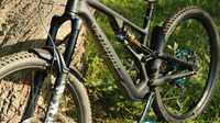 Rama Specialized Stumpjumper evo s4 fox float x