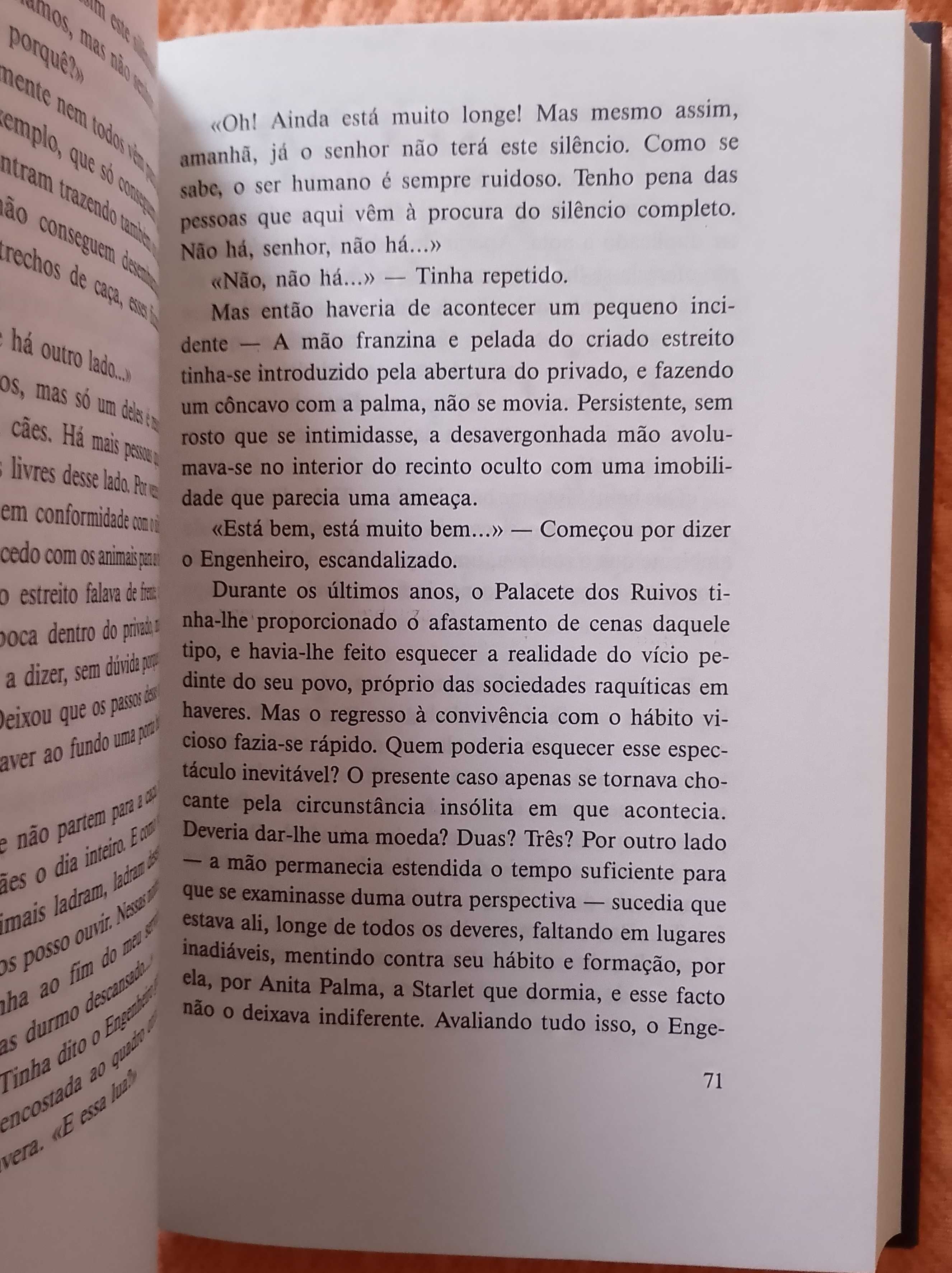 A última dona, Lídia Jorge