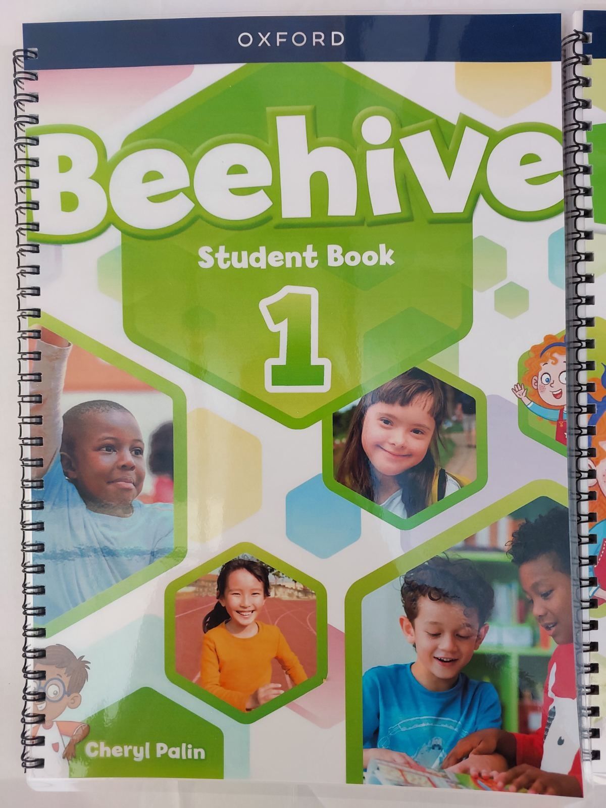 Beehive 1,2,3,4,5,6,starter