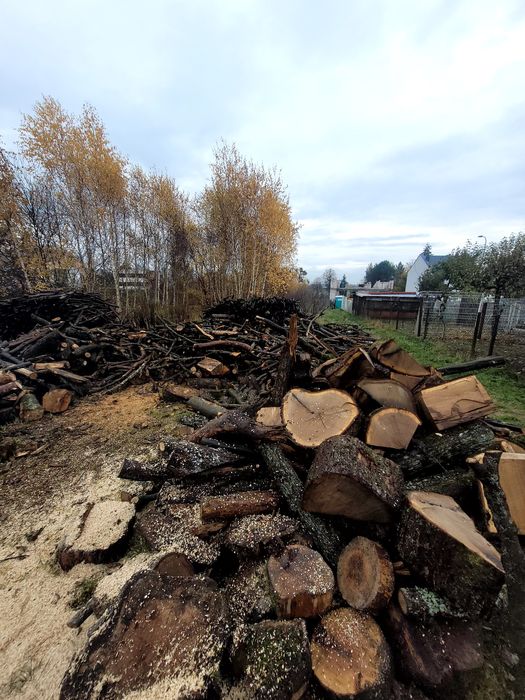 Drewno opałowe 200zł