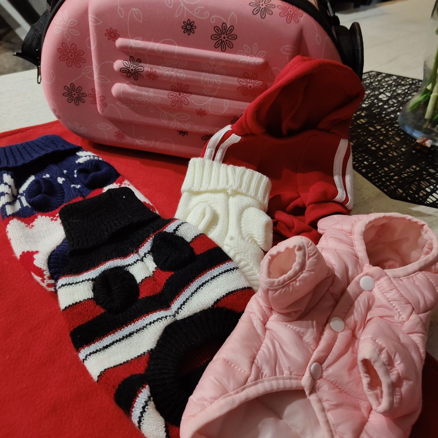 Transporter i ubranka dla małego pieska szczeniaka