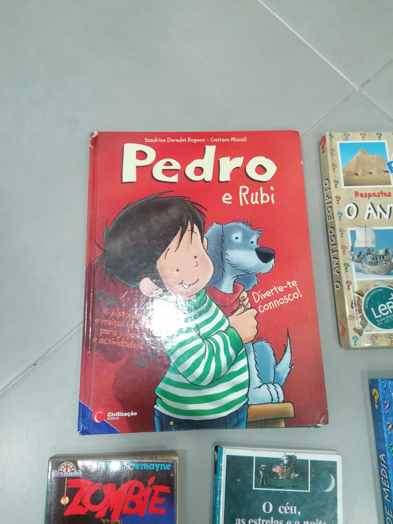 Livros infantis : uma aventura e outros