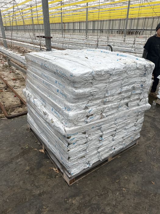 Oddam maty po  1 SEZONIE POMIDORA