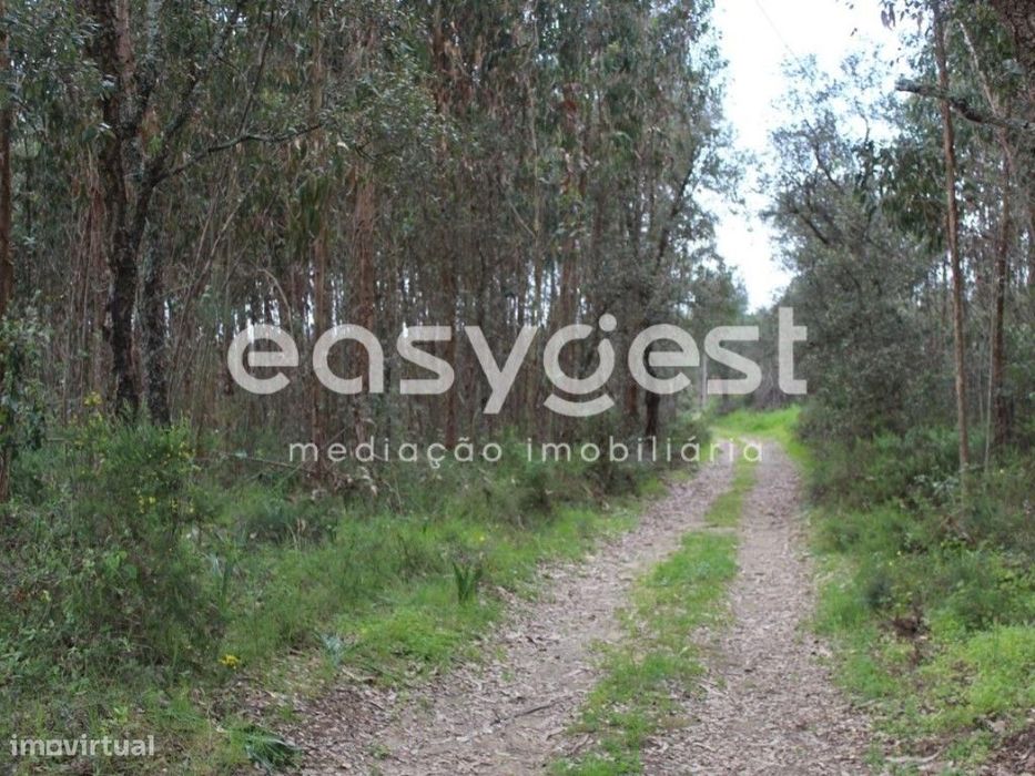 Terreno localizado nas Olalhas na Rota dos Trilhos das Cascatas