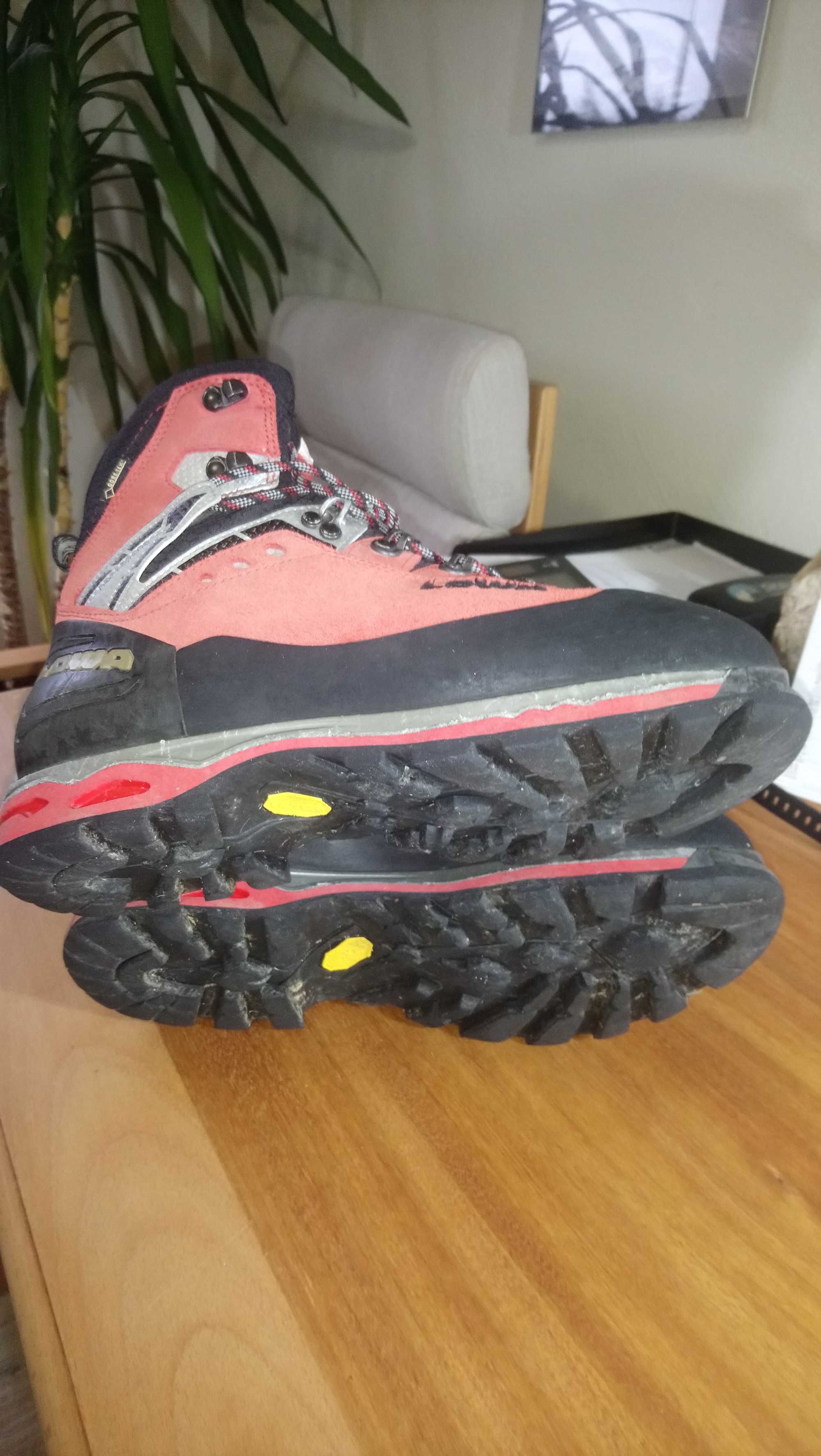 Buty Lowa Expert GTX EVO rozm.42