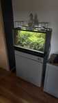 Gotowe terrarium 60x30x36 z wyposażeniem