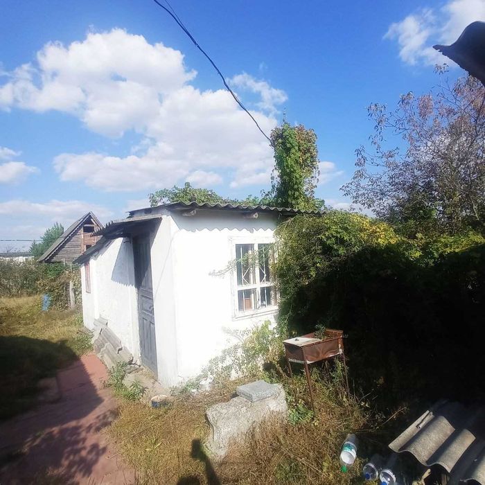 Я Продам дачу, Кам’яна Гора, масив Борковський