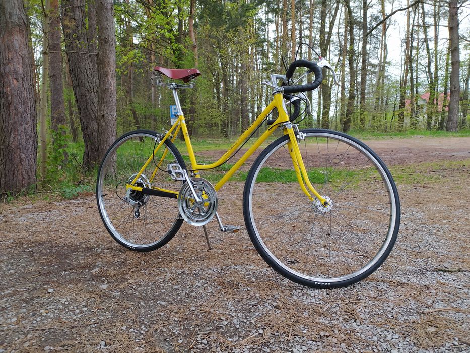 Schwinn Varsity 1972