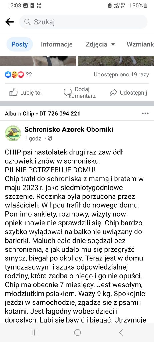 Mlodziurki Młodziak szuka domkun