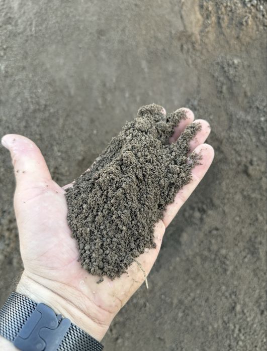 Humus siany czarnoziem pod trawnik