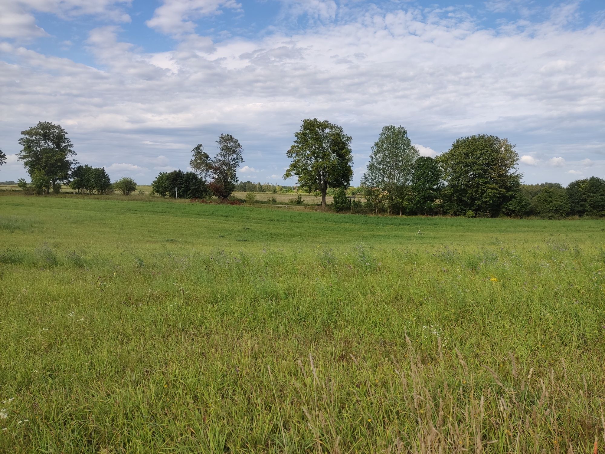 Działka rekreacyjna, Mazury, warunki zabudowy, jezioro, las,