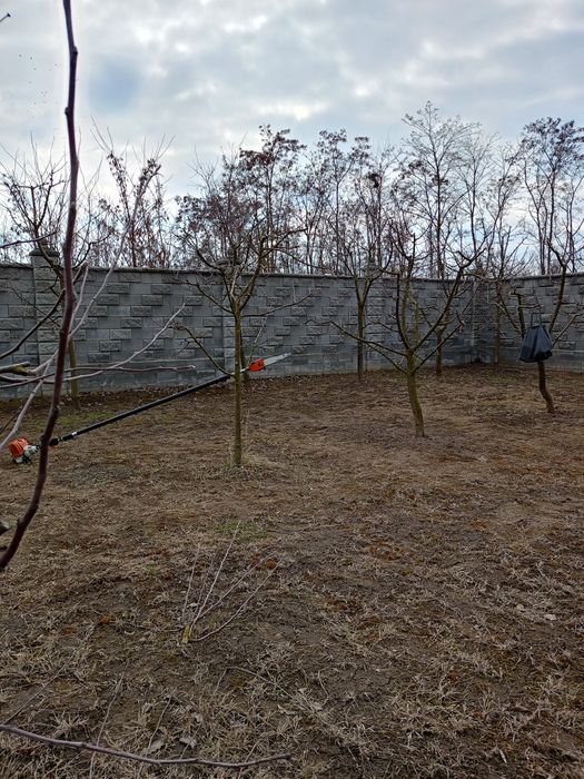 Послуги висоторізом, обрізка дерев та стрижка кущів