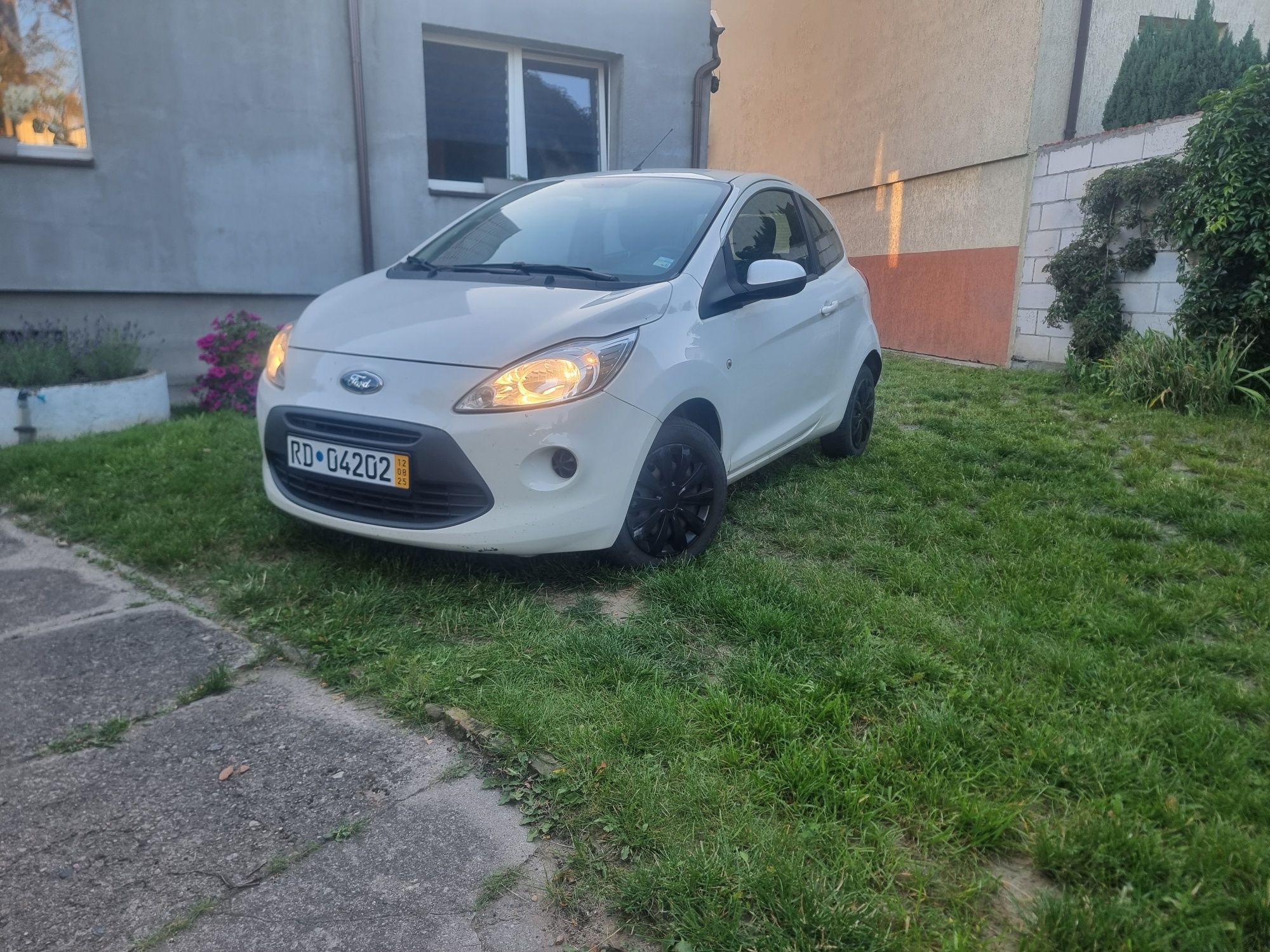Ford Ka 1.2! Sprowadzony!