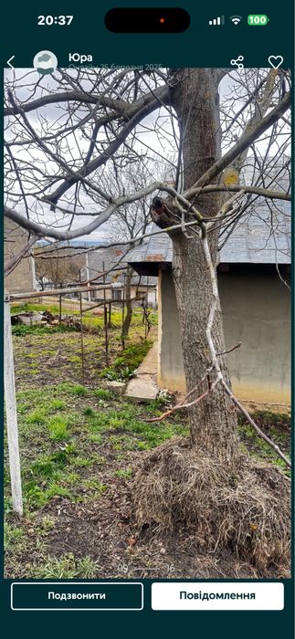 Продається  будинок