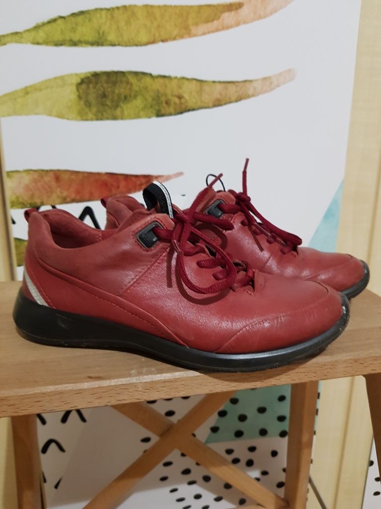 Ecco roz.35 Snickersy