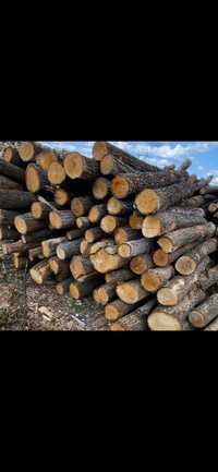 Drewno opałowe w wałku 2.5m