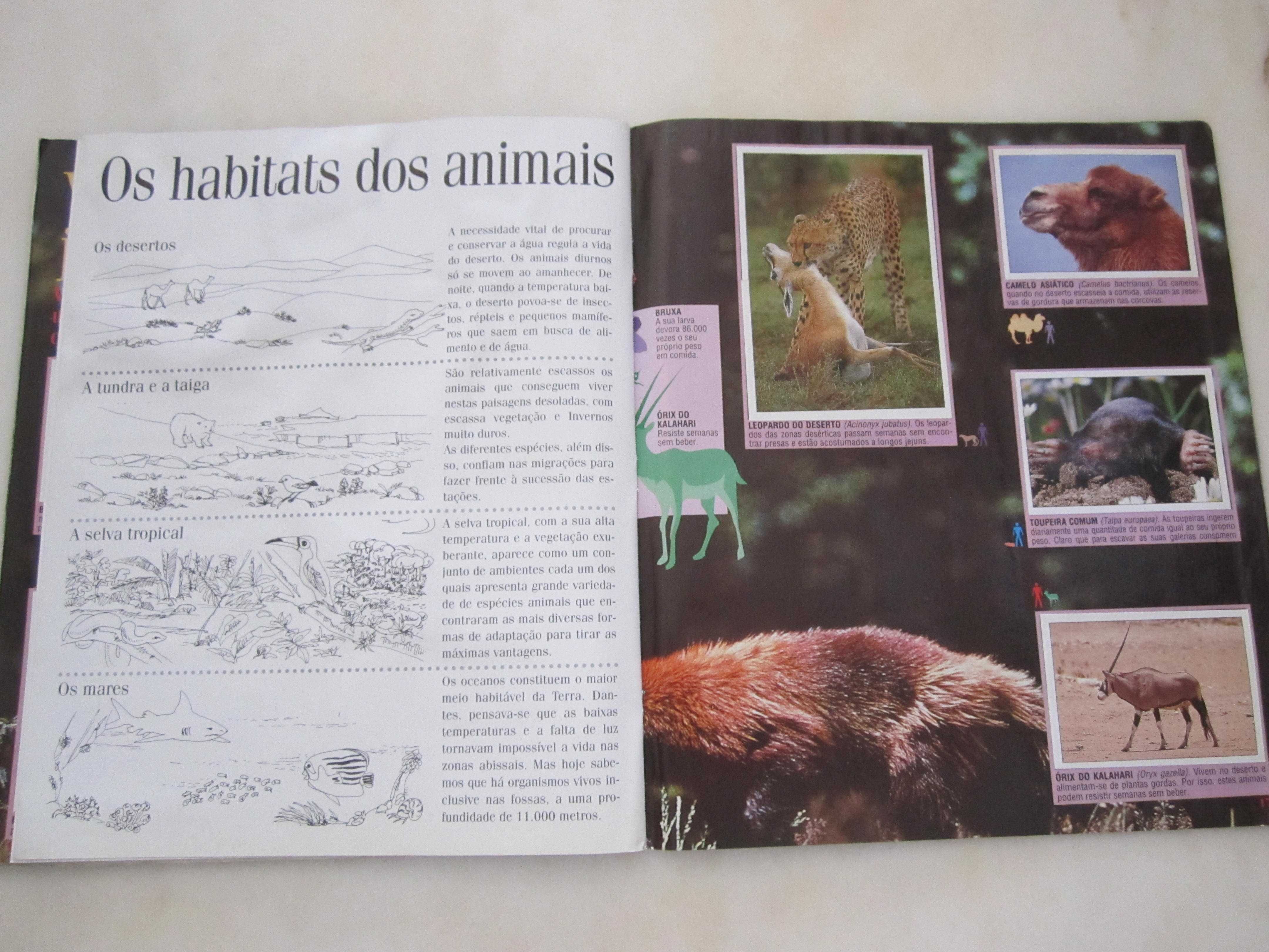 Caderneta completa : Animais Selvagens com poster