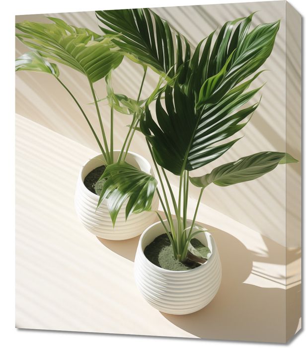 Obraz 50x60cm Doniczkowe Zarysy