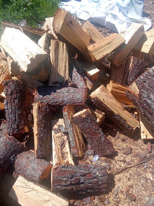 Vendo lenha seca de pinho 35€m3 entrego ao domicílio