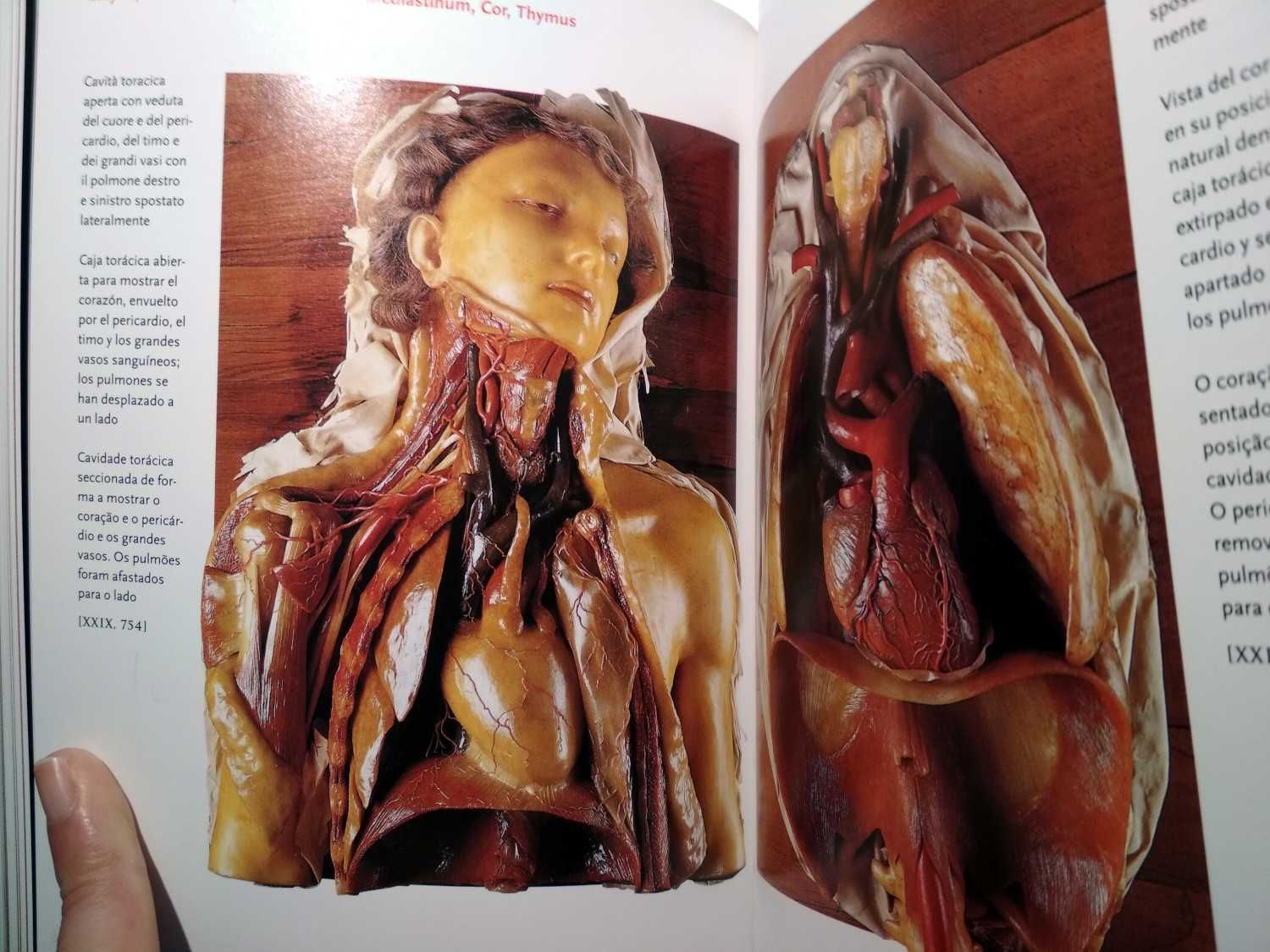 Taschen - Encyclopaedia Anatomica (porte incluído)
