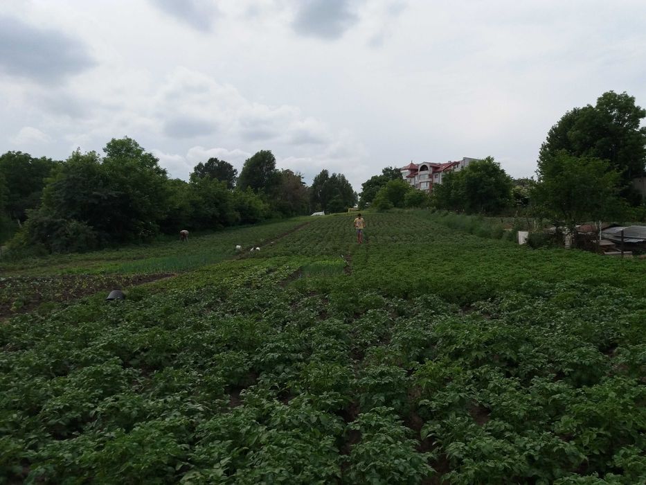 Продаж земельної ділянки вул.Об"їзна м.Тернопіль