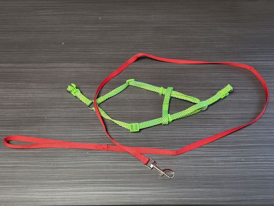 Szelki dla kota zielone nowe