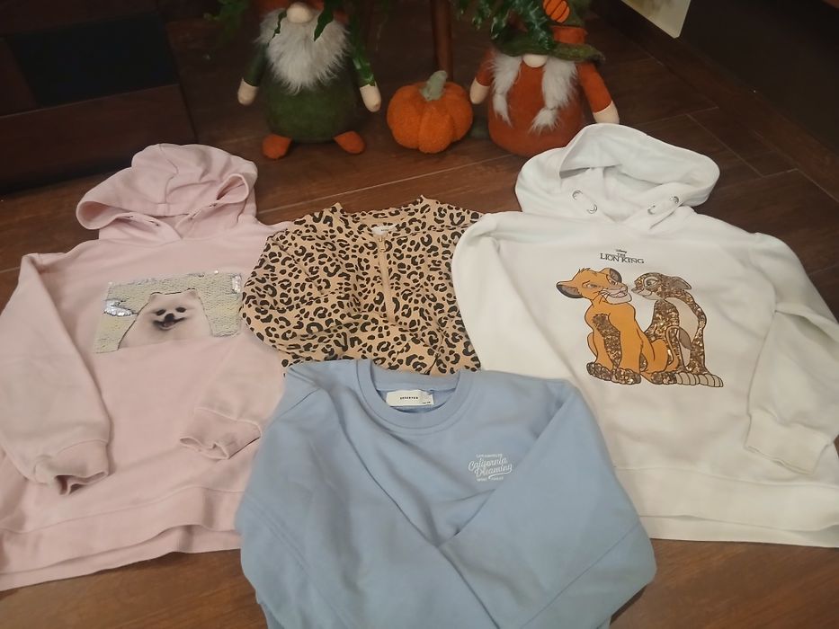 Mega paka ubrań dla dziewczynki na jesień, zimę i wiosnę r.134/140