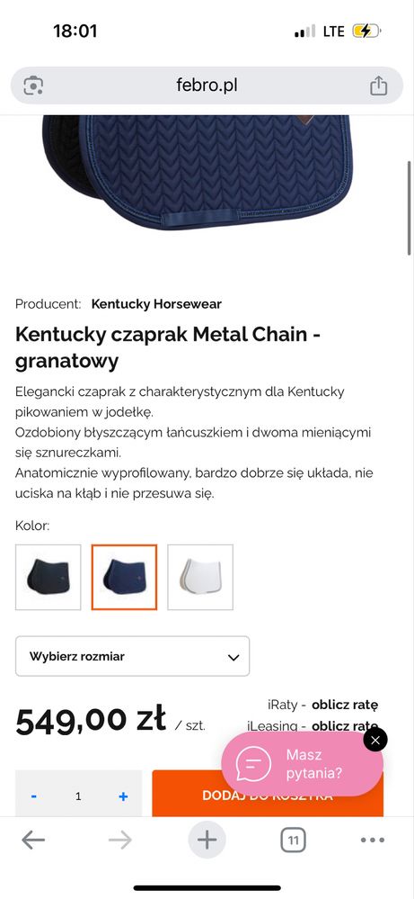 Czaprak kentucky metal chain