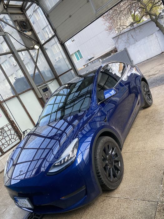 Tesla Y perfomans 82 kw повербанк 220v