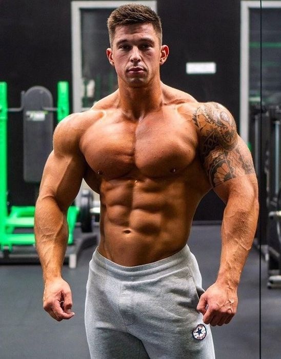 PROTEIN Протеин ГЕЙНЕР Креатин Whey Creatine