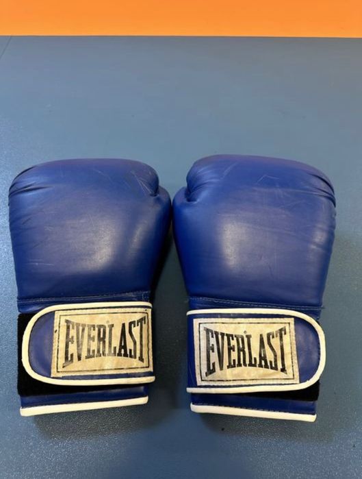 Боксерські рукавички Everlast 16, Title Platinum, MMA