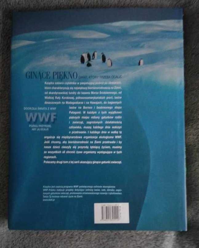 Ginące piękno, świat który trzeba ocalić