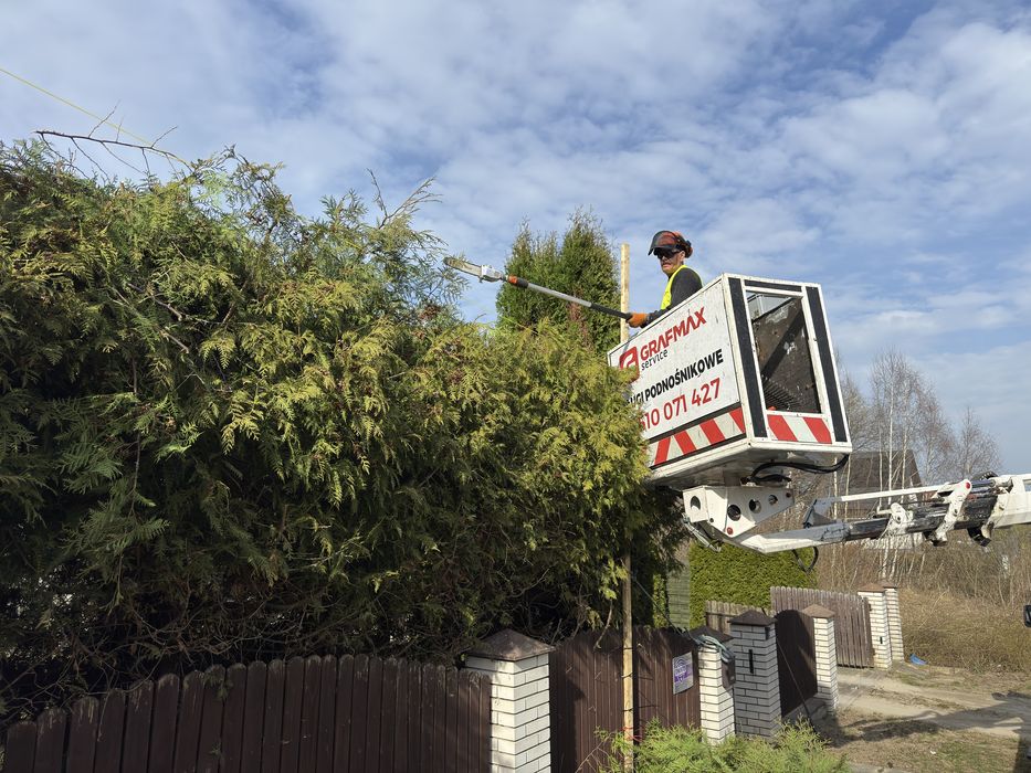 Wycinka i Przycinanie Drzew / Tui z podnośnika koszowego - Pruszcz Gd.
