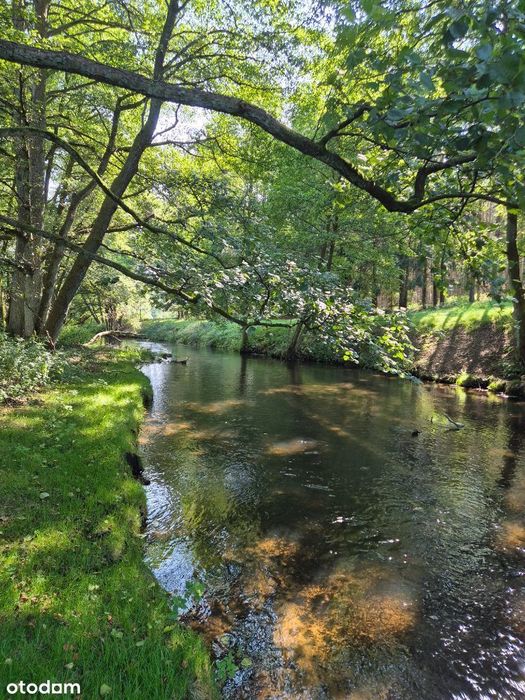 Dom z Bezpośrednim Dostępem do Rzeki
