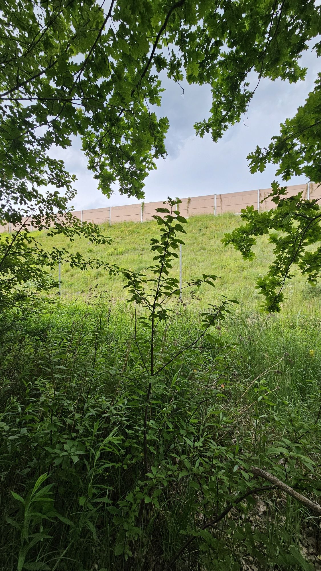 Działka budowlana inwestycyjna CISIE gmina Halinów 3400m2