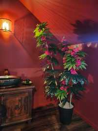 Drzewko sztuczne hibiskus duże. Salon, łazienka, gabinet, restauracja.