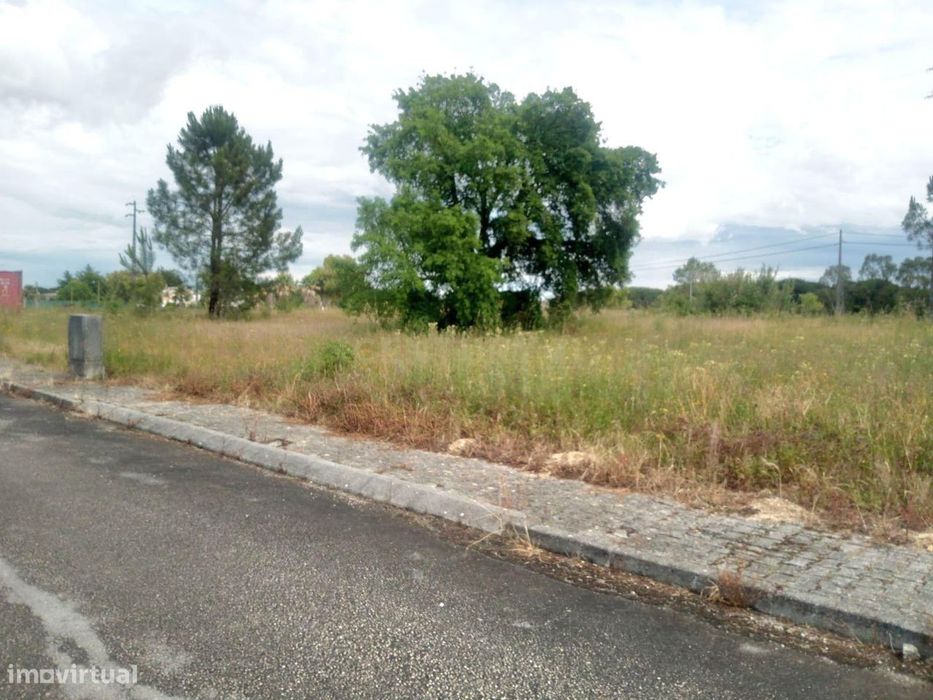 Lote para Construção em Biscainho – Coruche