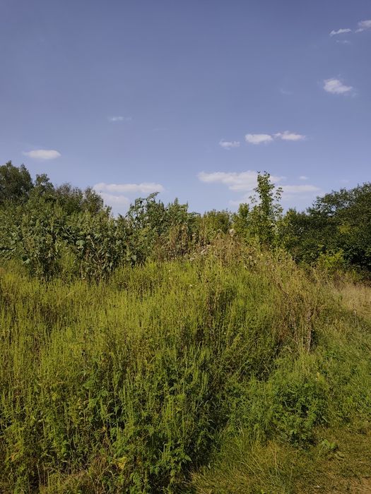 Продам участок под настройку на Большой Даниловке!