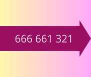 Platynowy, Złoty numer  666.661.321 Idealny dla Firm/Infolinii/Reklamy