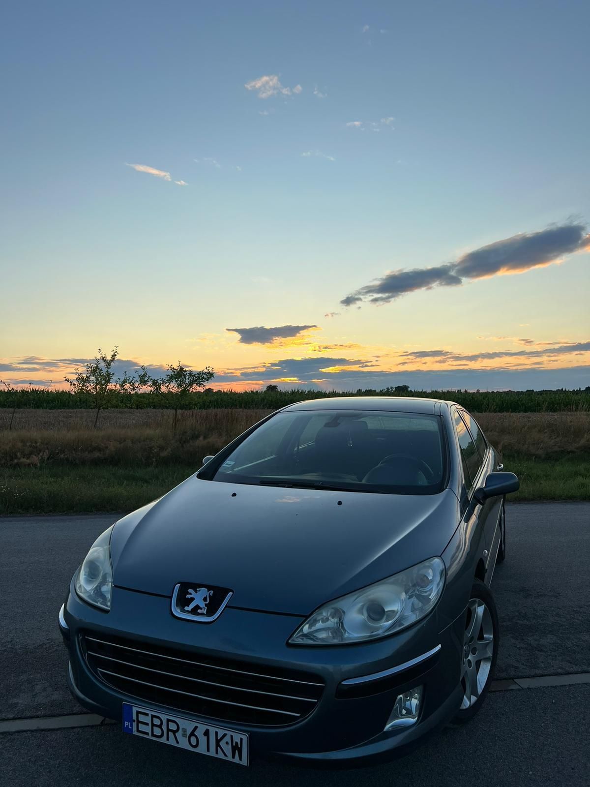 Peugeot 407 2.0 HDI