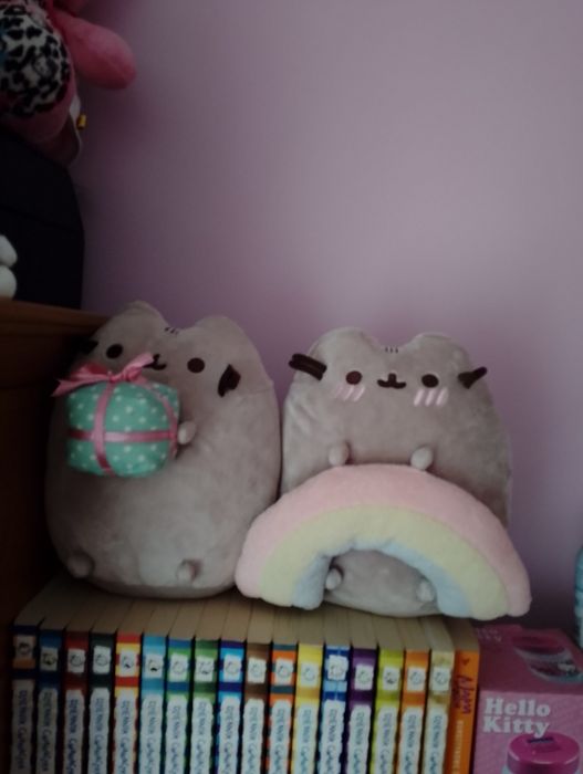 Prześliczny kolekcjonerski kot pusheen z tęcza