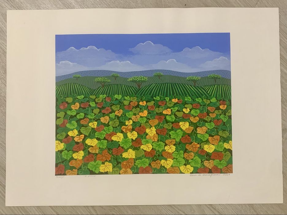 Sergrafia da Artista Edna Araraquara