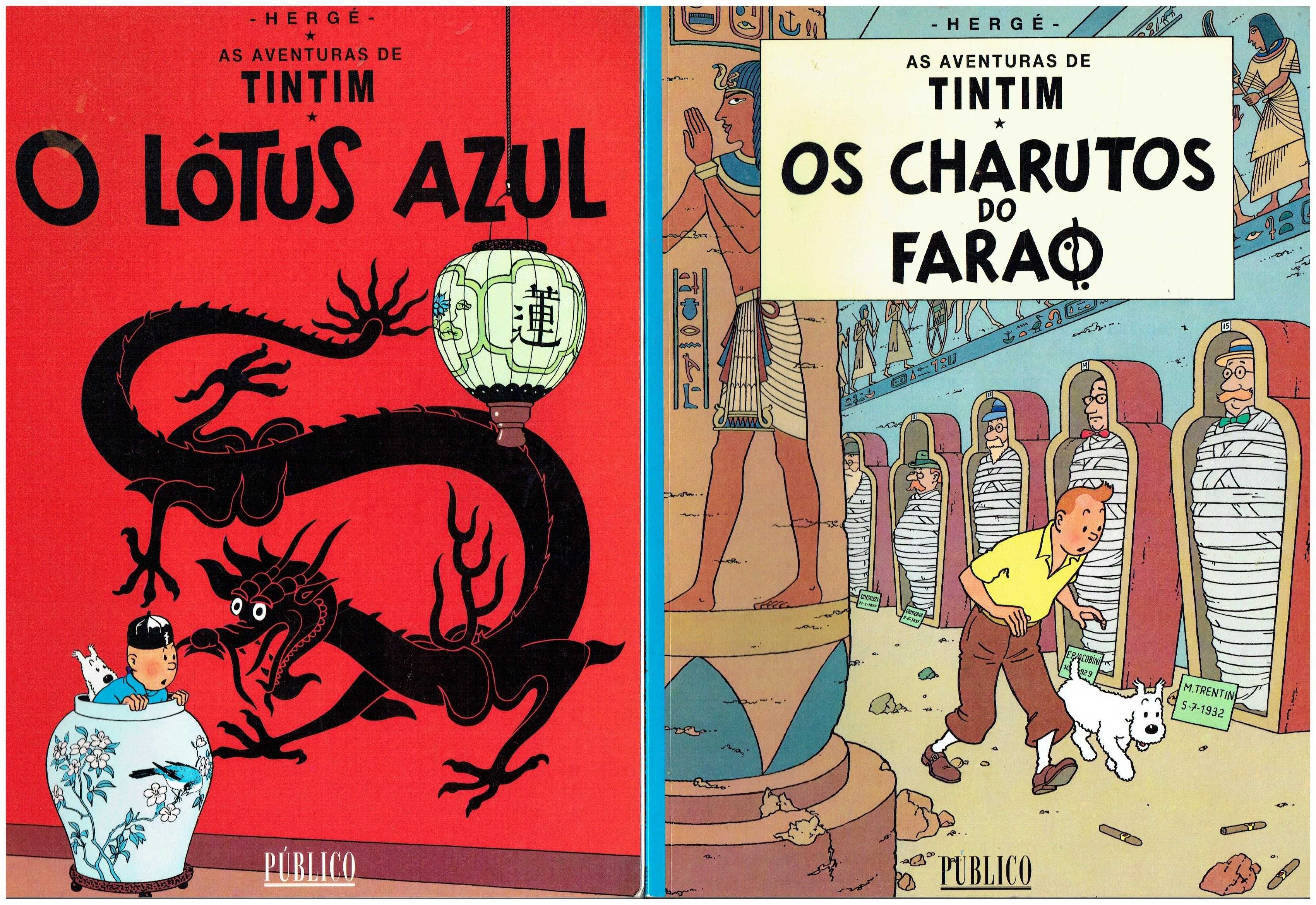 11860

Coleção As Aventuras de Tintim
de Hergé

edição Publico