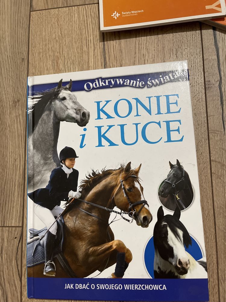 Książka odkrywanie świata Konie i kuce