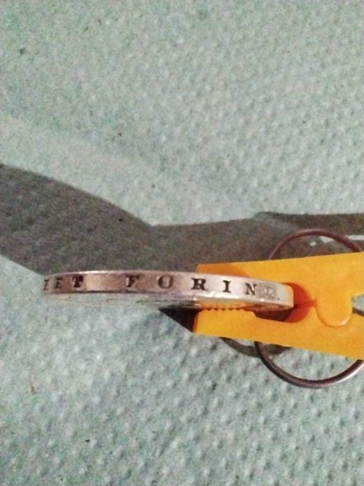 2 флоріна 1879 рік