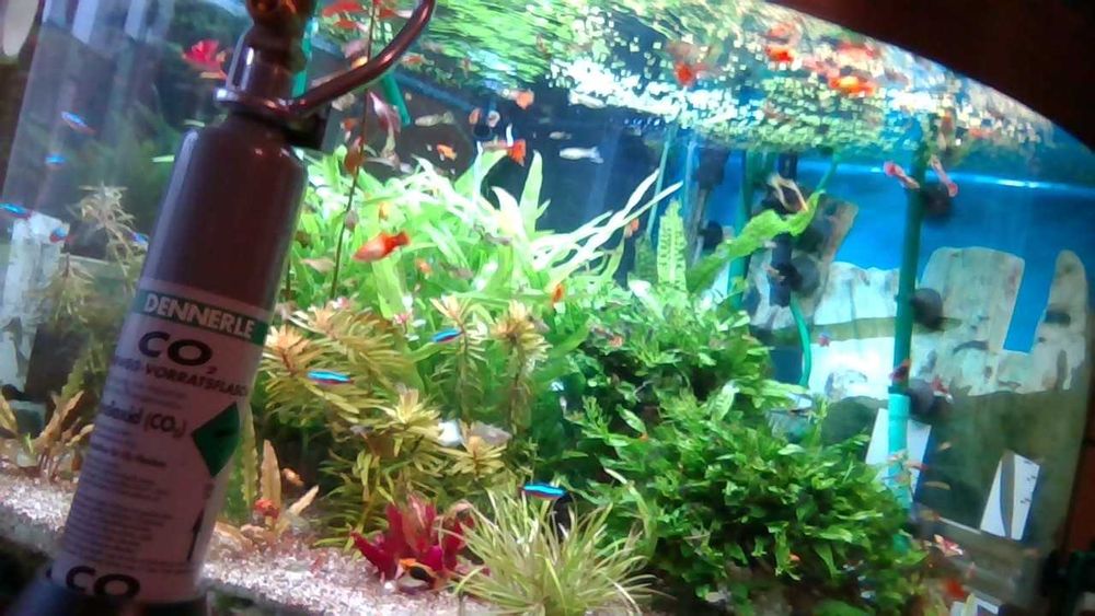 Butelka wielokrotnego uzytku DENNERELE CO2 0,67 l