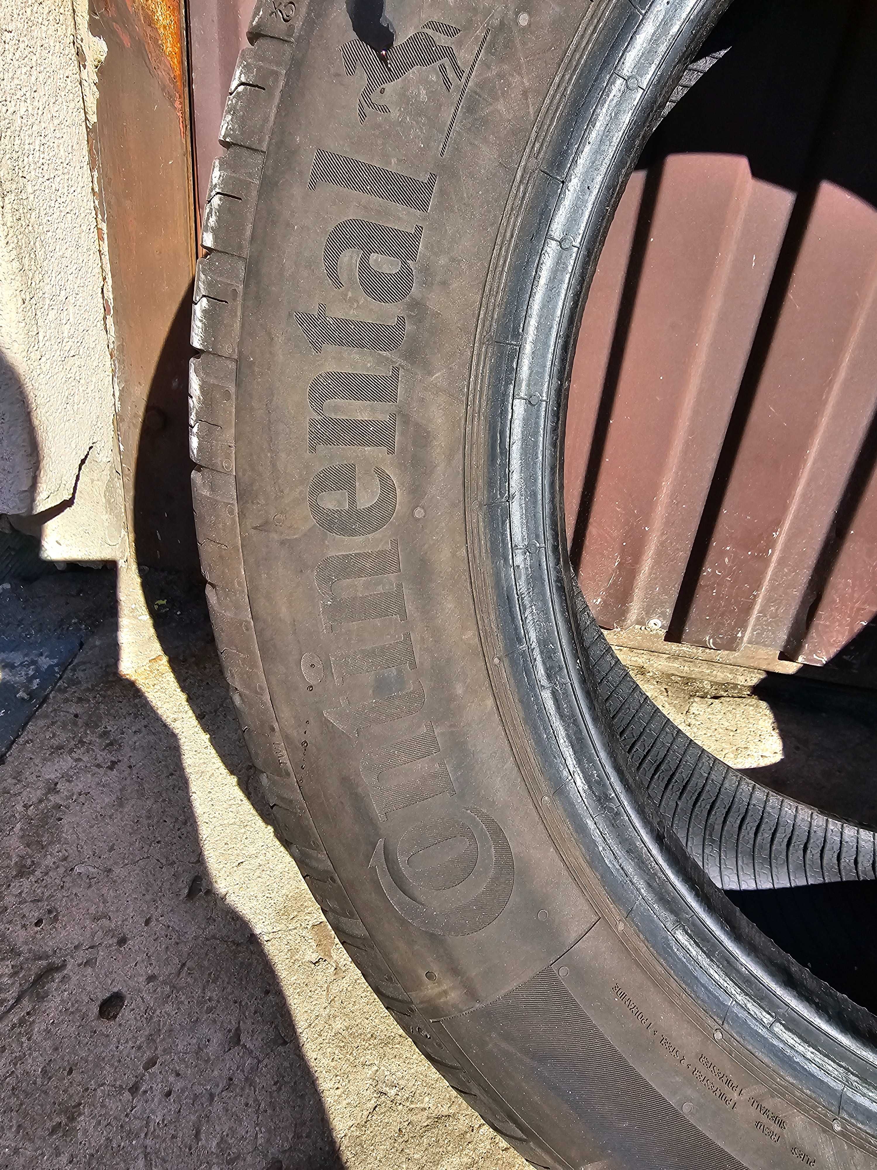 Opony Lato Continetal EcoContact 6 195/55R16 2023 ROK