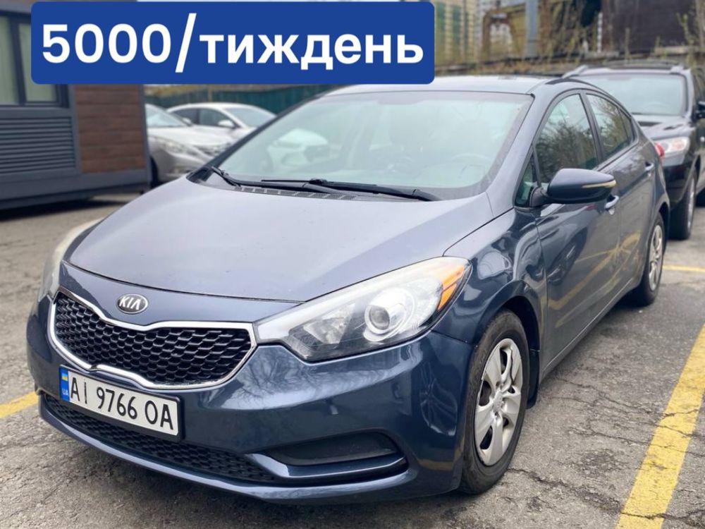 Hyundai/Kia оренда | Робота, бізнес, комфорт