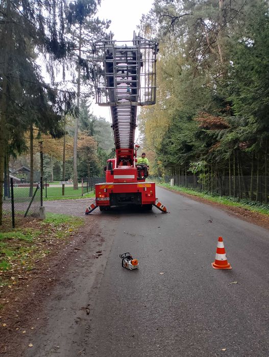 Wycinka i pielęgnacja drzew,  rębak  frezarka do pni